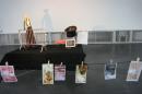 musee vivant du theatre de rue013 * 3504 x 2336 * (3.29MB)